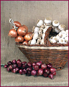 Aglio e Cipolla